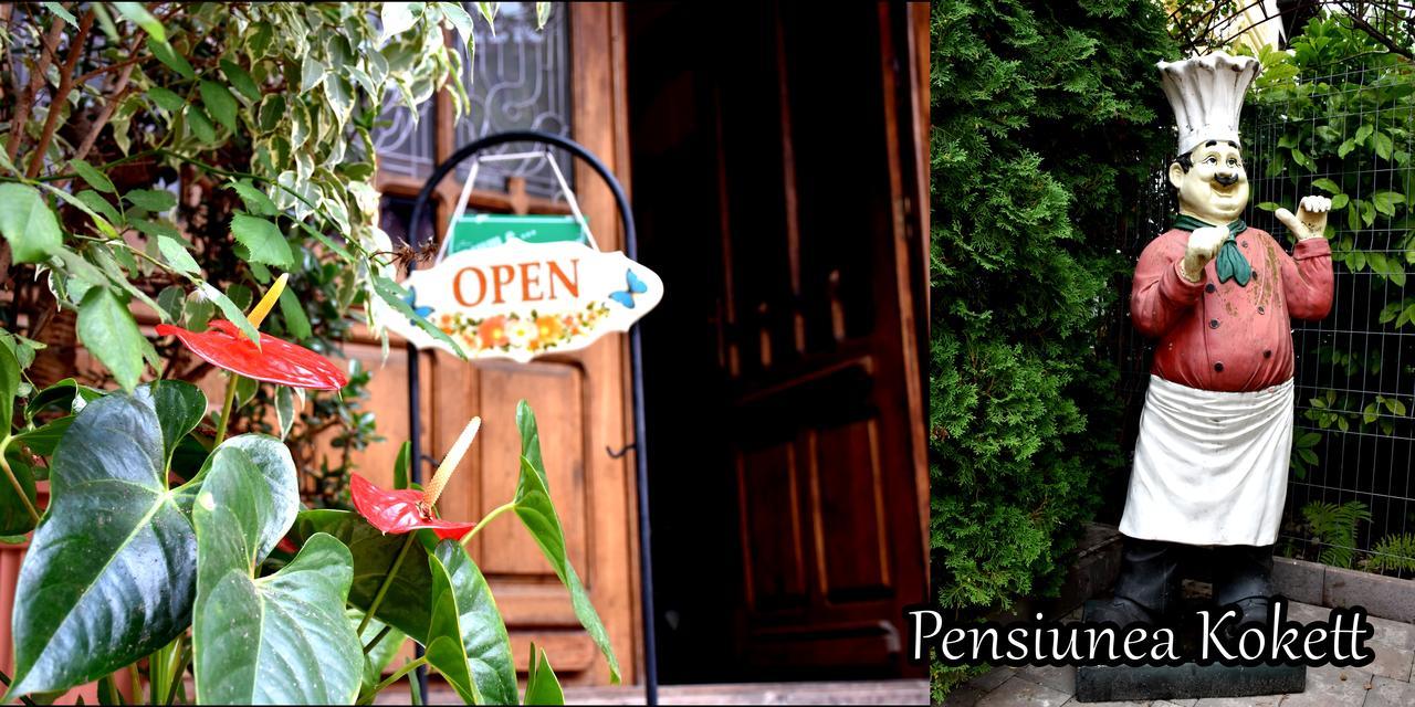 Pension Kokett Cimpulung Εξωτερικό φωτογραφία